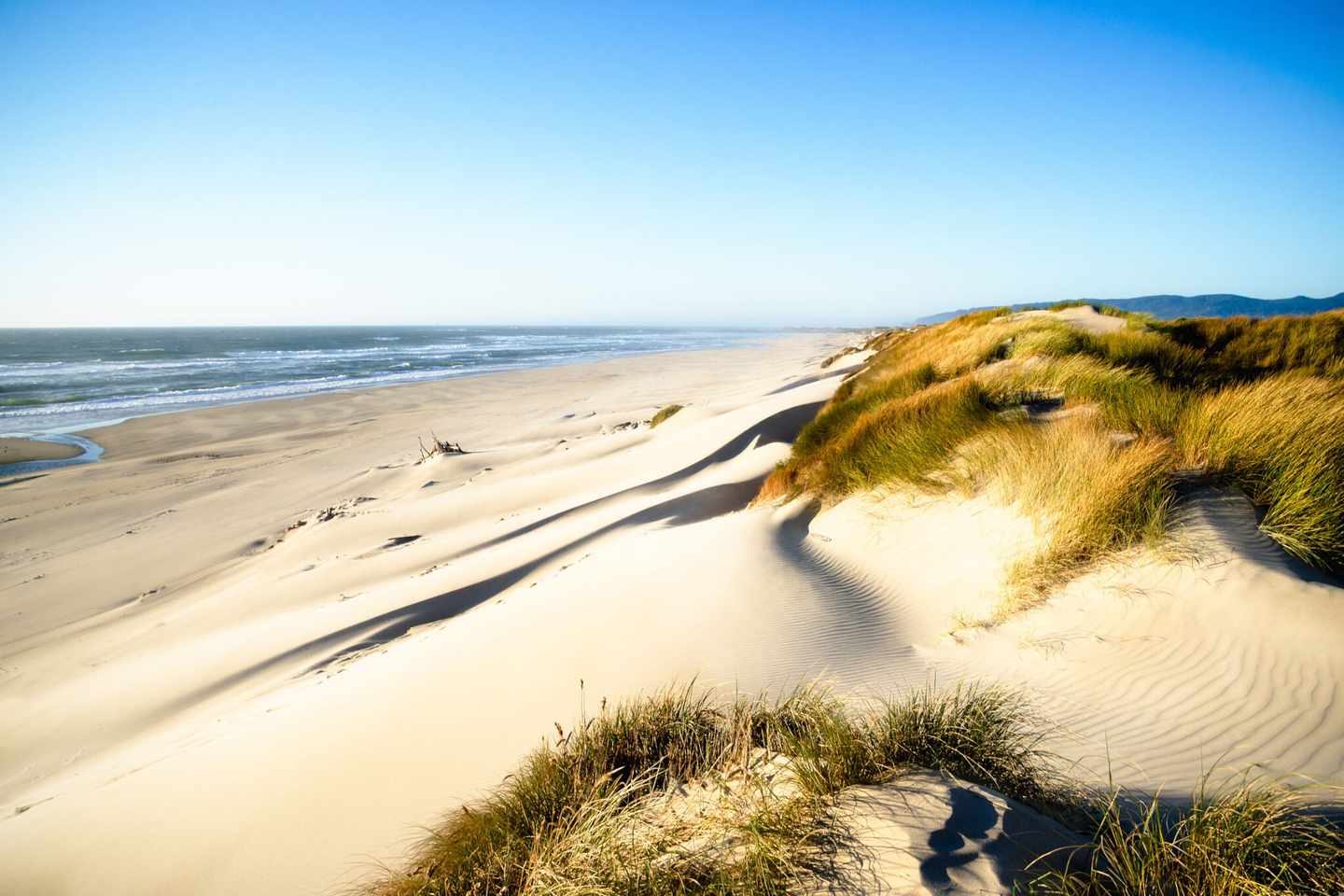 usa-oregon-strandabschnitt-mit-duenen-und-meer-g-691659676.jpg