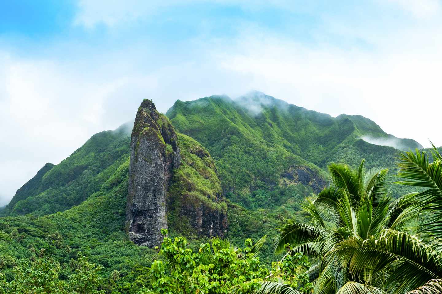 franzoesisch-polynesien-raiatea-g-1175968790.jpg