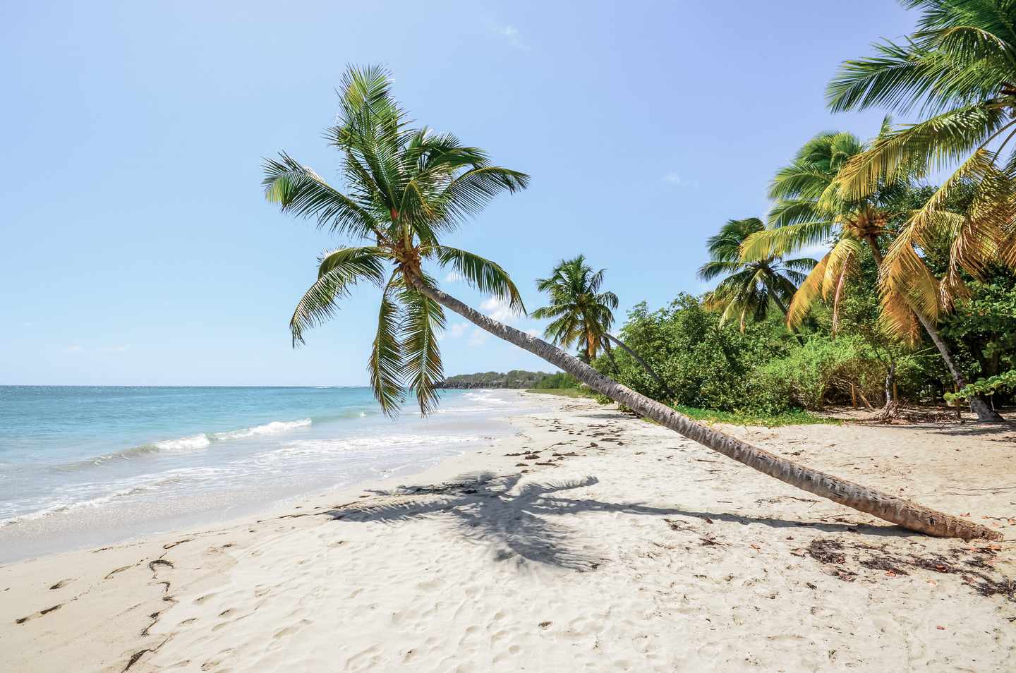 bltc6e67ca71ccd36e3-Frankreich-Martinique-Karibik-Strand-g-968513116.jpg Strand auf Martinique