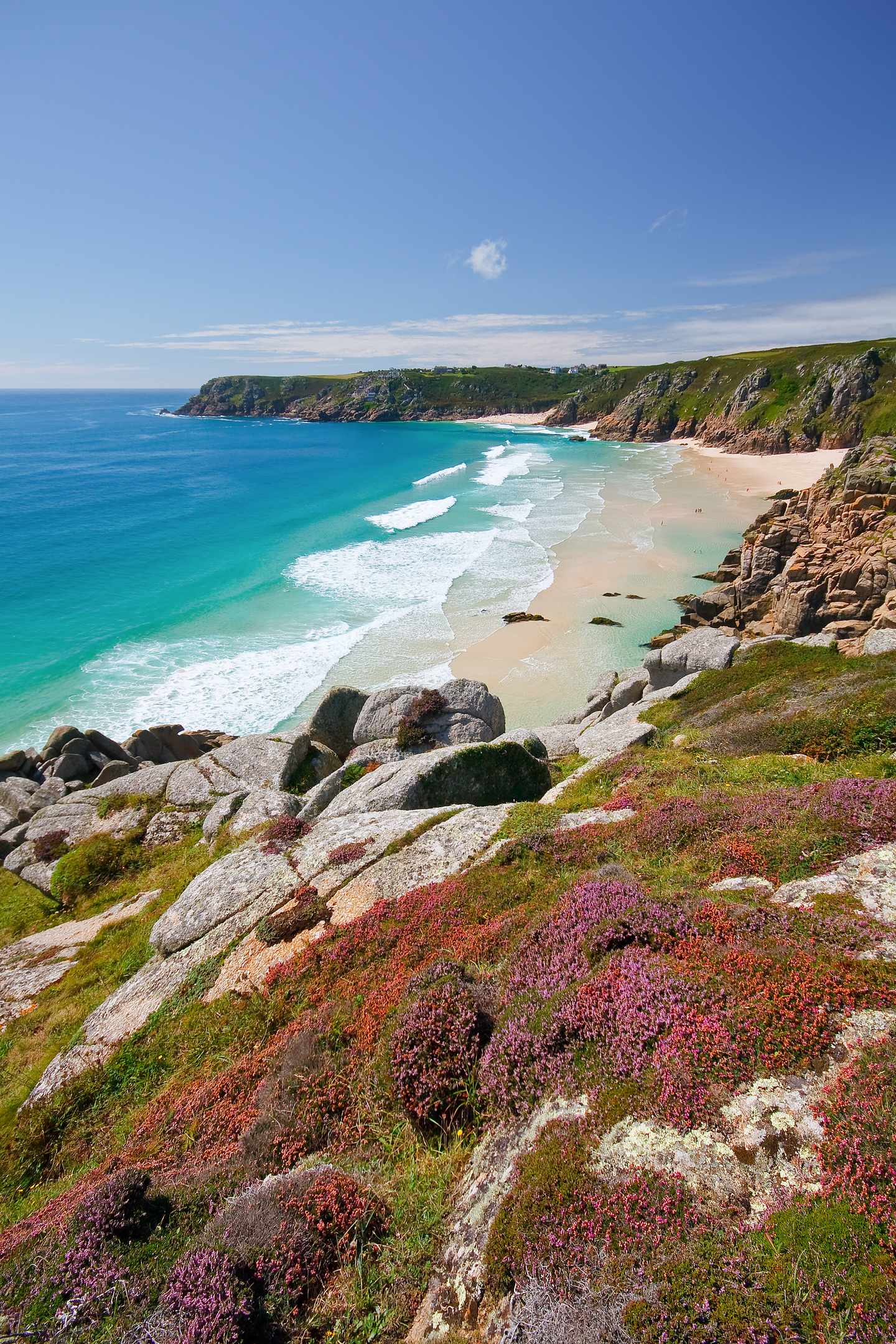 Sandstrand an einer Bucht in Cornwall mit türkisfarbenem Meer Felsküste und blühender Heide