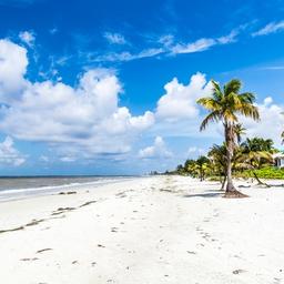 Pauschalreisen Florida