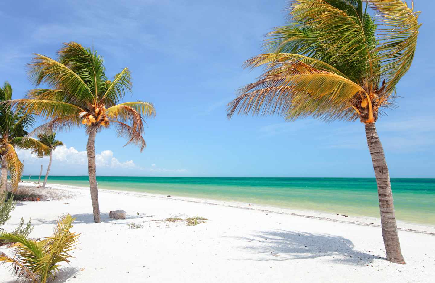mexiko-holbox-g-133825215.jpg