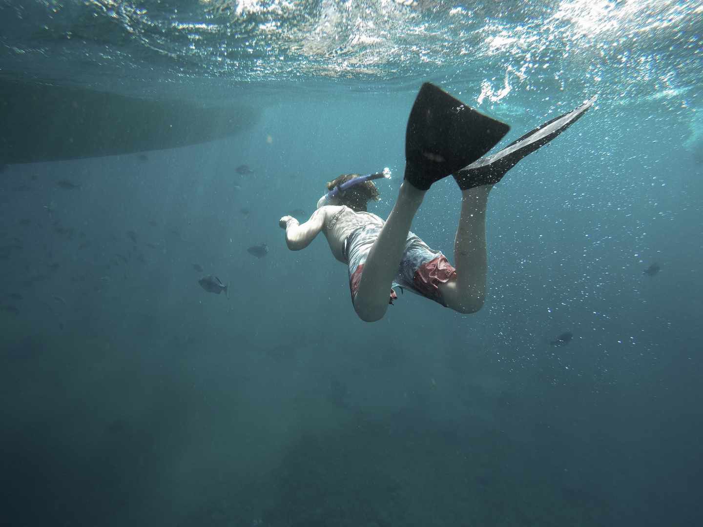 usa-hawaii-unterwasser-junge-schnorcheln-g-1169460036.jpg