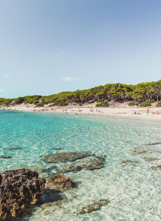 Reisetrends Sommer 2023 spanien-balearen-mallorca-cala-rajada-cala-agulla-g-1279488361.jpg