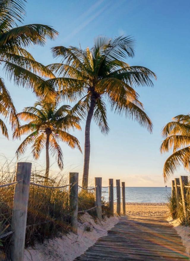 Jetzt inspirieren lassen Florida Urlaub Weg zum Strand mit Palmen