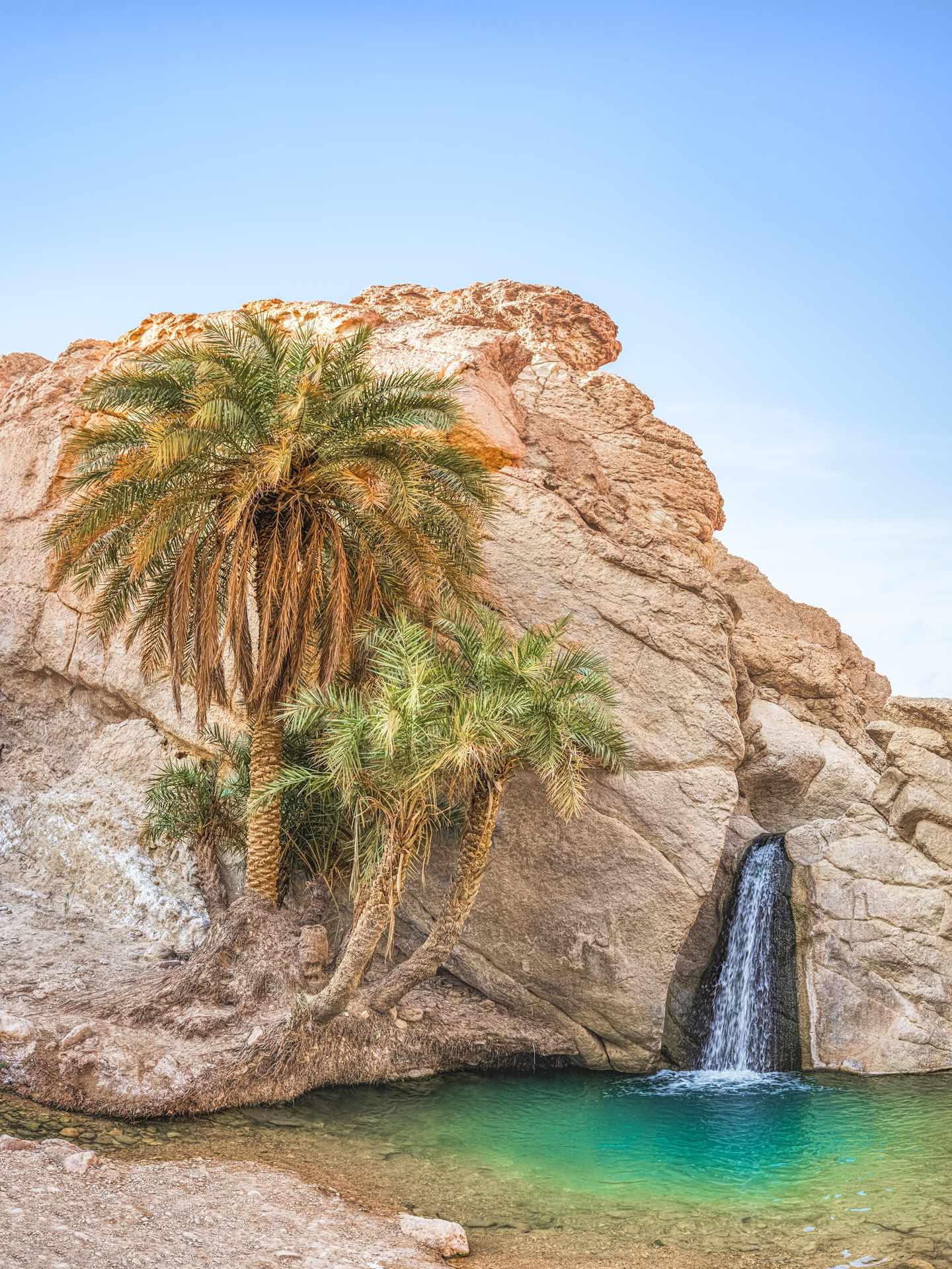 GettyImages-482832930.jpg Oase Chebika in Tunesien mit Palmen, kleinem Wasserfall und türkisfarbenem Naturbecken zwischen Felsen