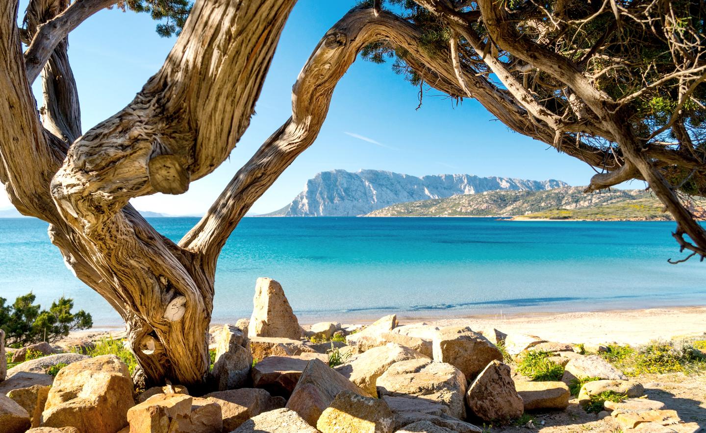italien-sardinien-g-1192867725.jpg
