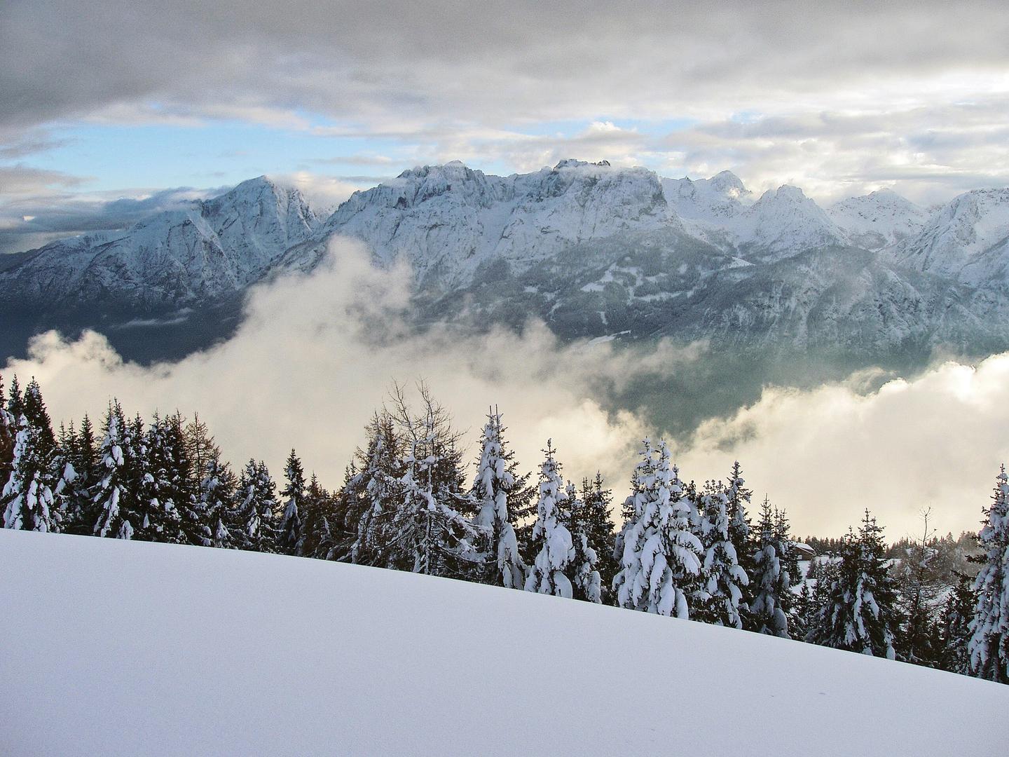 oesterreich-osttirol-berge-wald-p-E-7266431.jpg