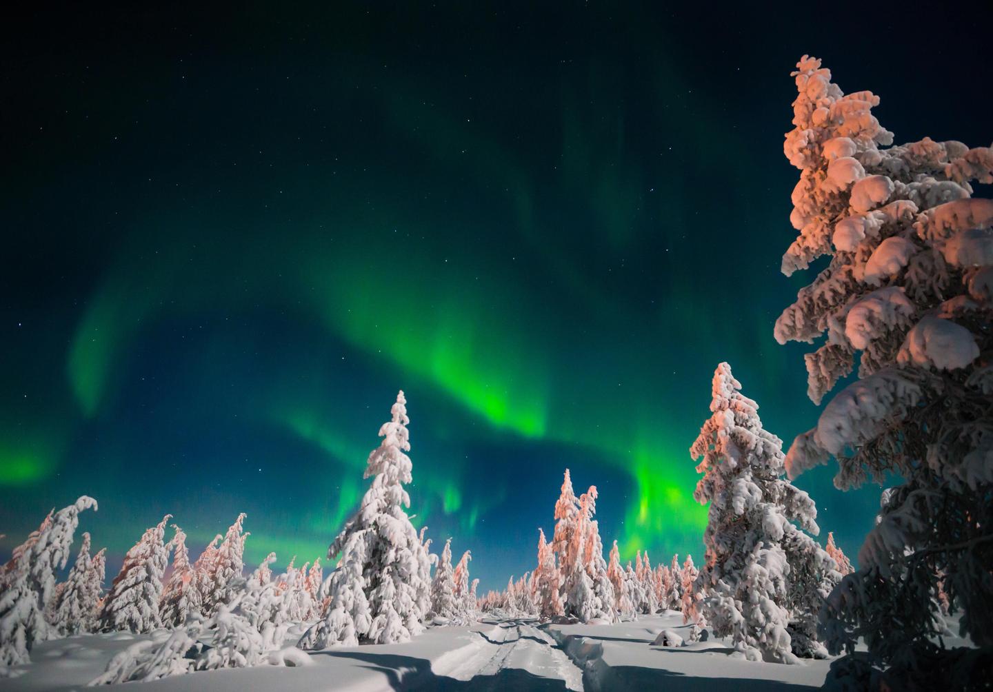finnland-polarlicht-lappland-t-610946908.jpg