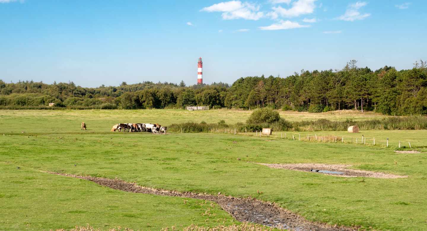 deutschland-schleswig-holstein-g-2030325337.jpg