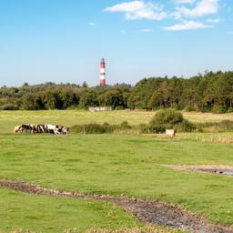 Urlaub Schleswig-Holstein