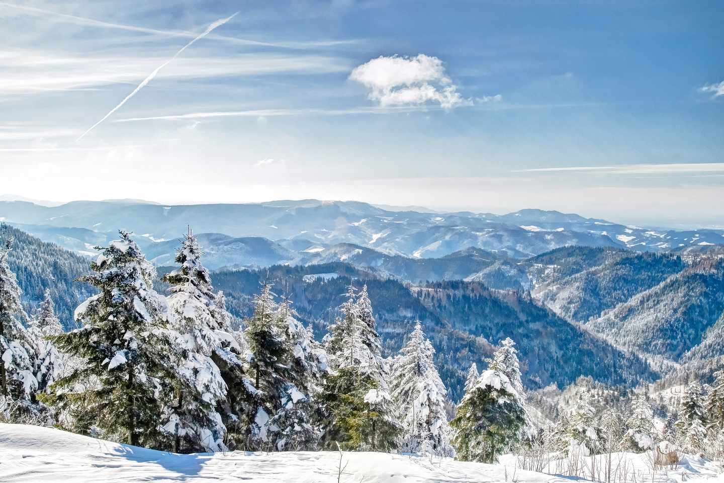 deutschland-schwarzwald-winter-blick-ueber-wald-g-531178489.jpg