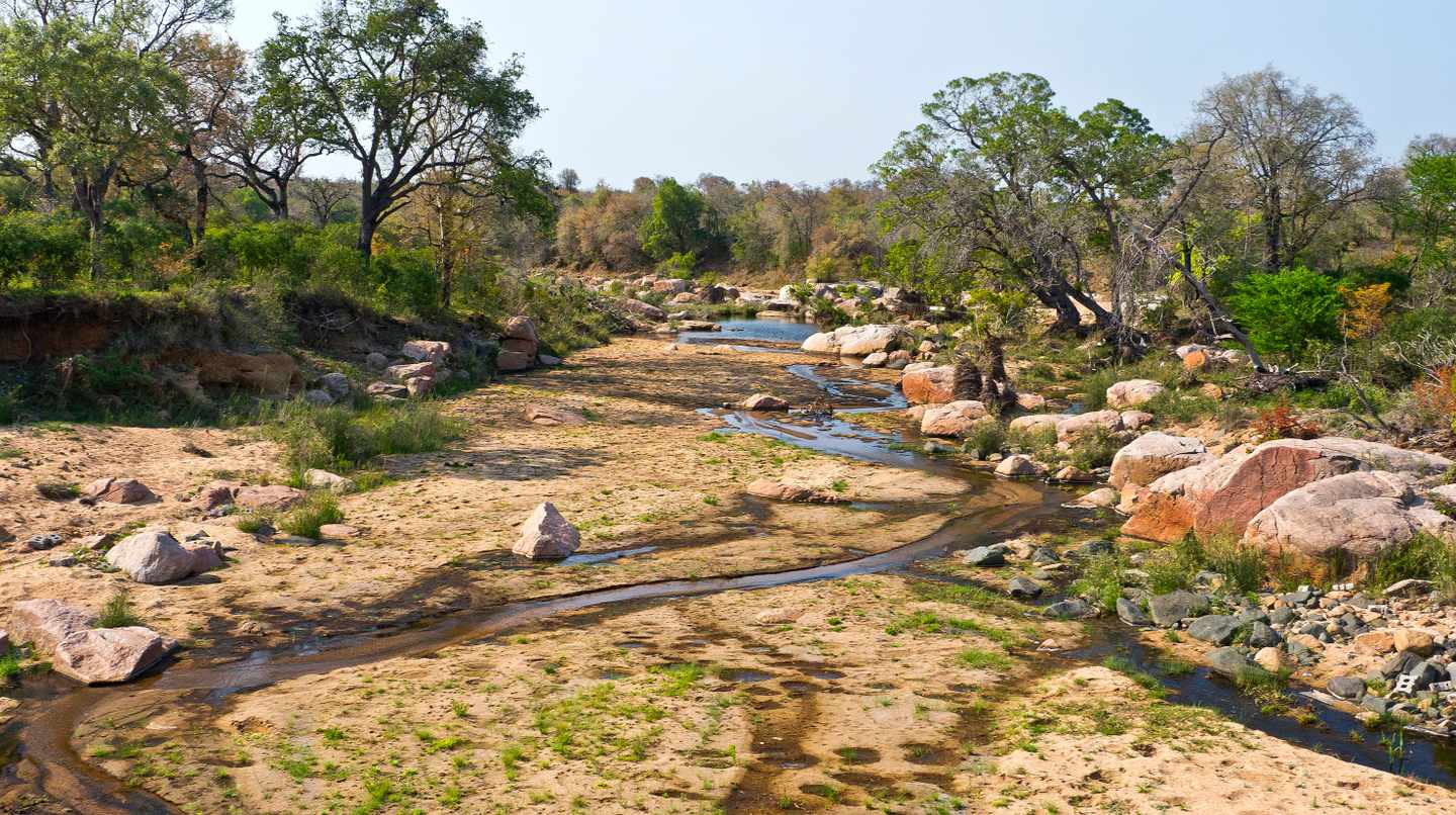 blt0ab5d32a5ea09d42-afrika-sabie-river-kruger-nationalpark-g-1423025975.jpg Afrikas Sehenswürdigkeiten: Sabie River im Kruger Nationalpark
