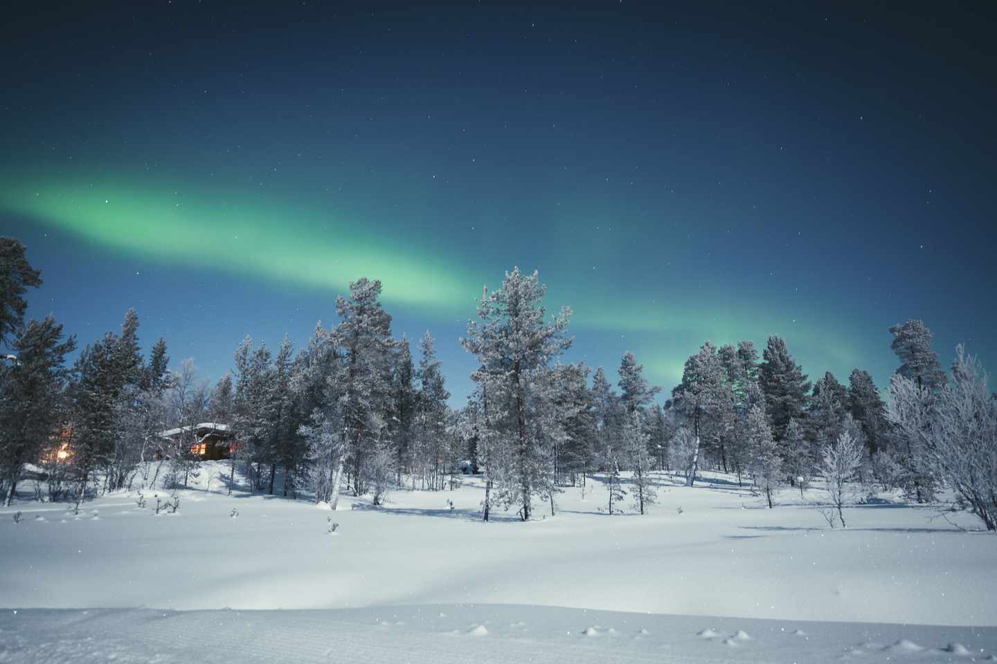 skandinavien-aurora-borealis-im-winter-mit-schnee-g-924281832_bearbeitet.jpg