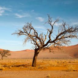 afrika-namibia-g-486675168.jpg
