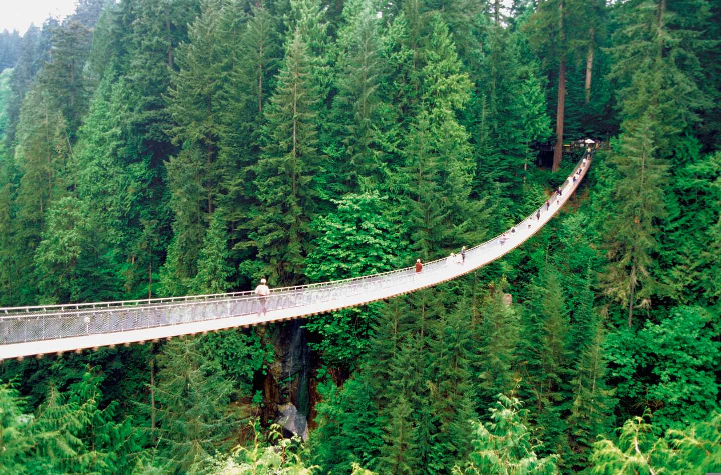 kanada-british-columbia-capilano-suspension-bridge-t-55843269.jpg