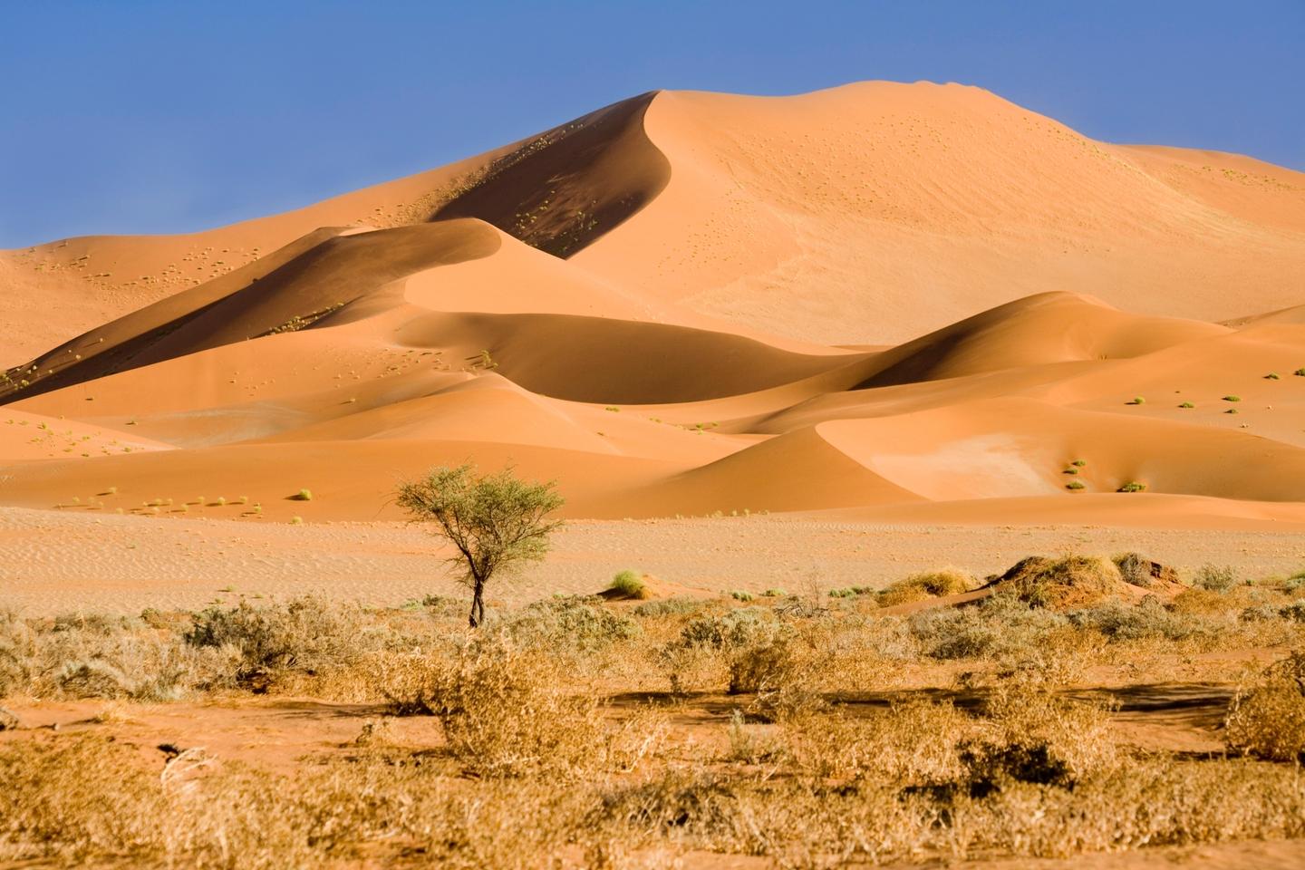 blta54c87bd8348d984-namibia-duenen-sandmeere-sossusvlei-t-138182441.jpg namibia-duenen-sandmeere-sossusvlei-t-138182441.jpg