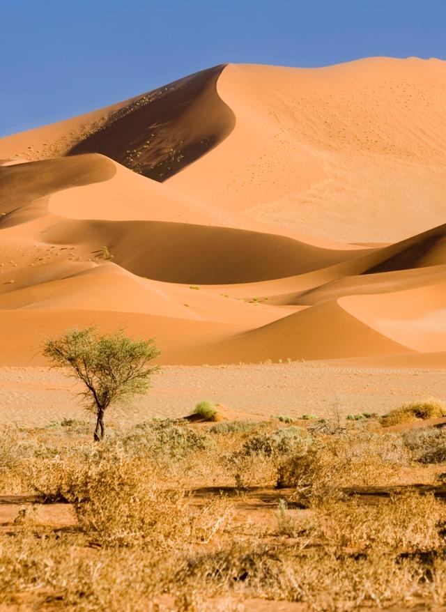 Sossusvlei