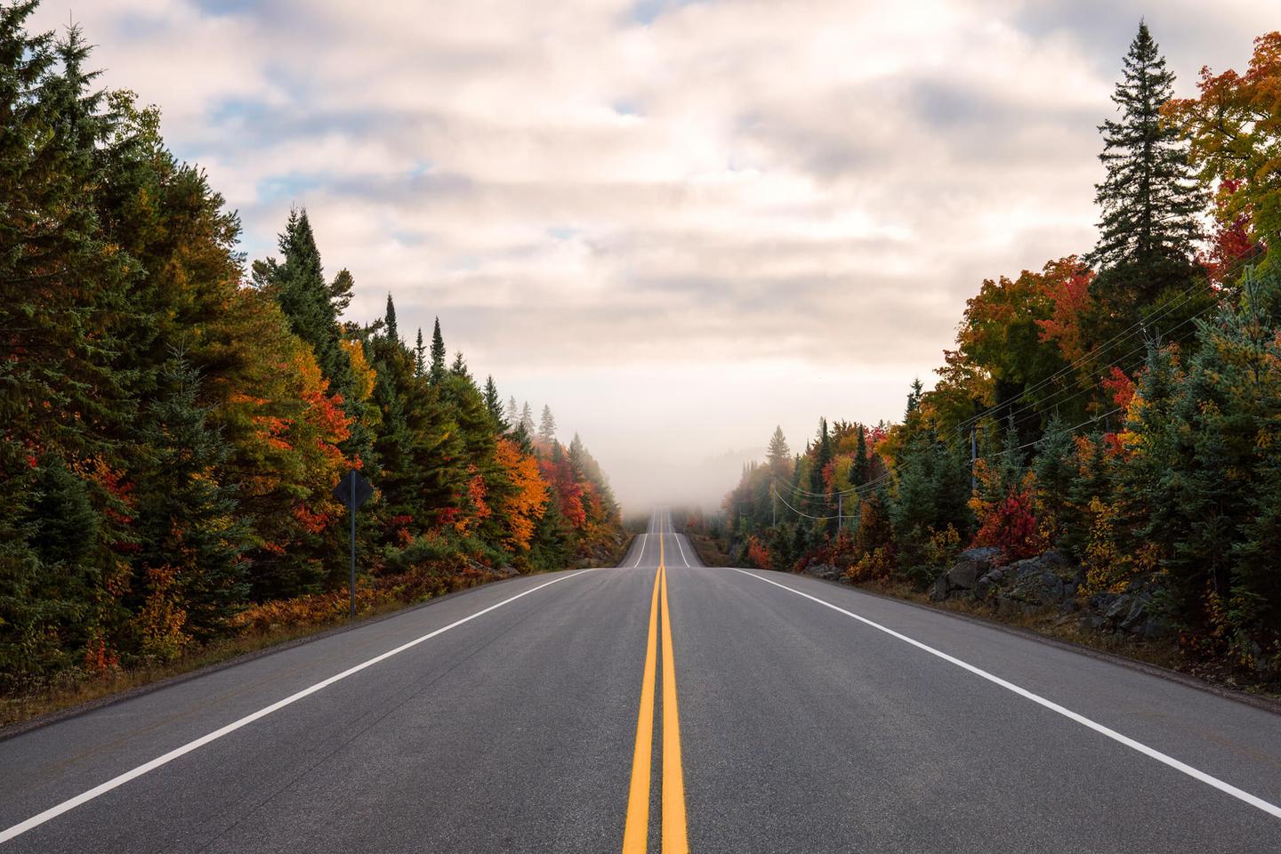 kanada-british-columbia-strasse-im-wald-g-615390534.jpg
