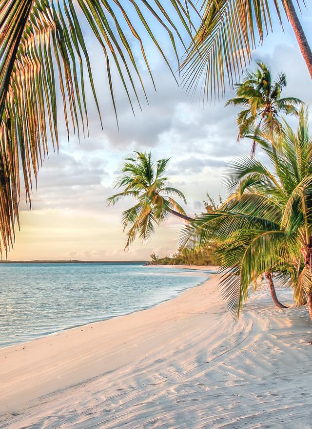 bltab3945ea931068c4-bahamas-strand-sonnenuntergang-palme-g-504887110.jpg Strand bei Sonnenuntergang mit Palme