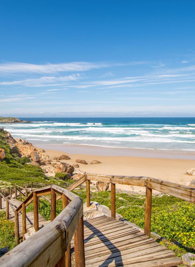 Rundreisen Südafrika suedafrika-garden-route-t-620719812.jpg