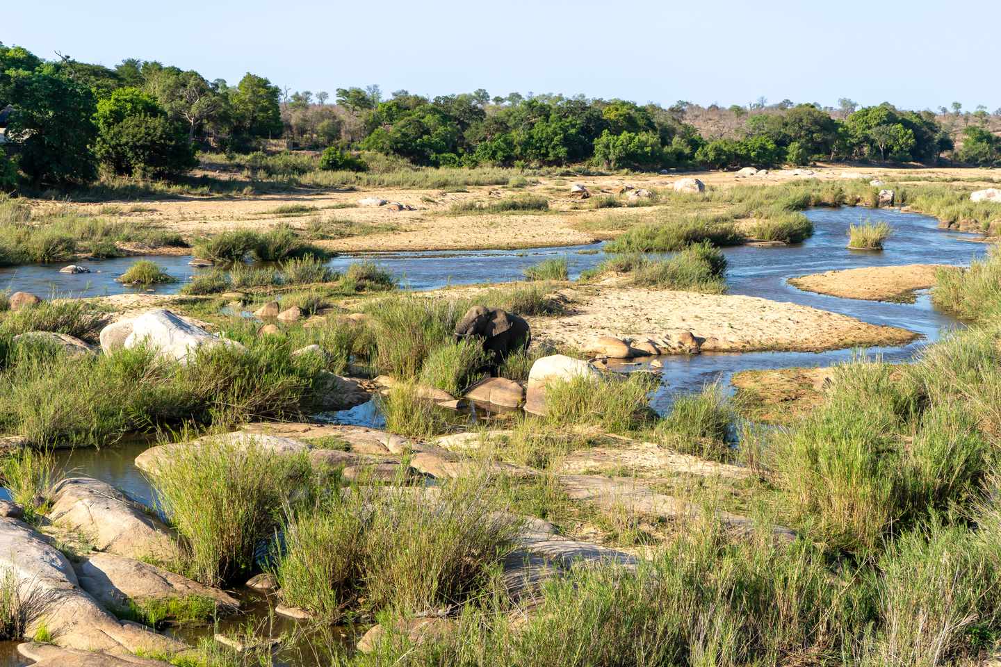afrika-elefant-in-savanne-big-five-g-2168270916.jpg