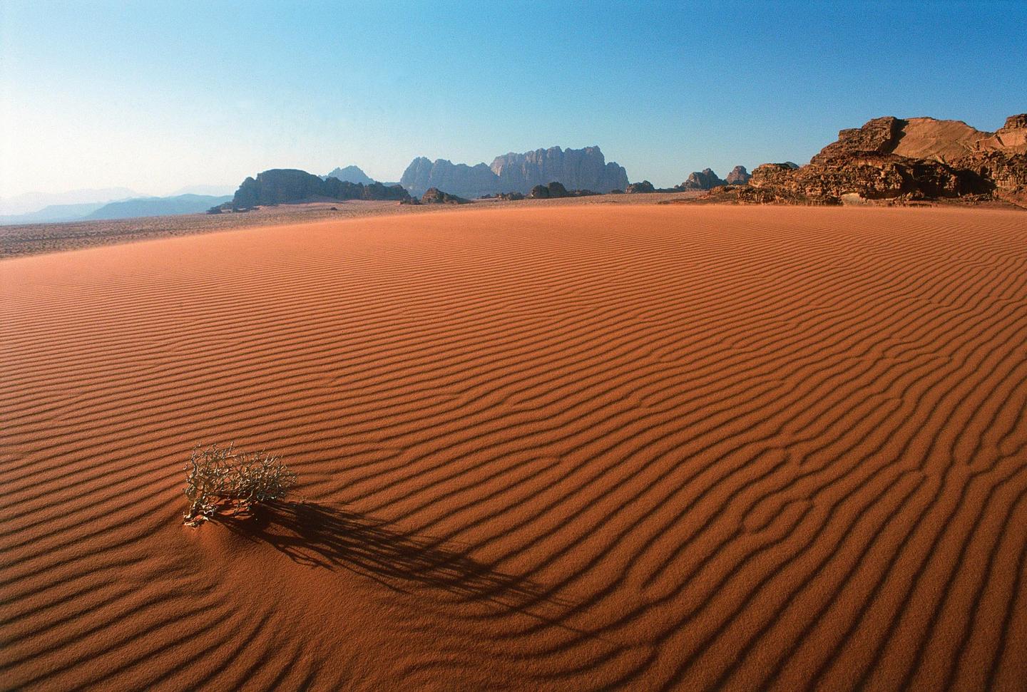 jordanien-wadi-rum-unesco-weltkulturerbe-p-X45112.jpg