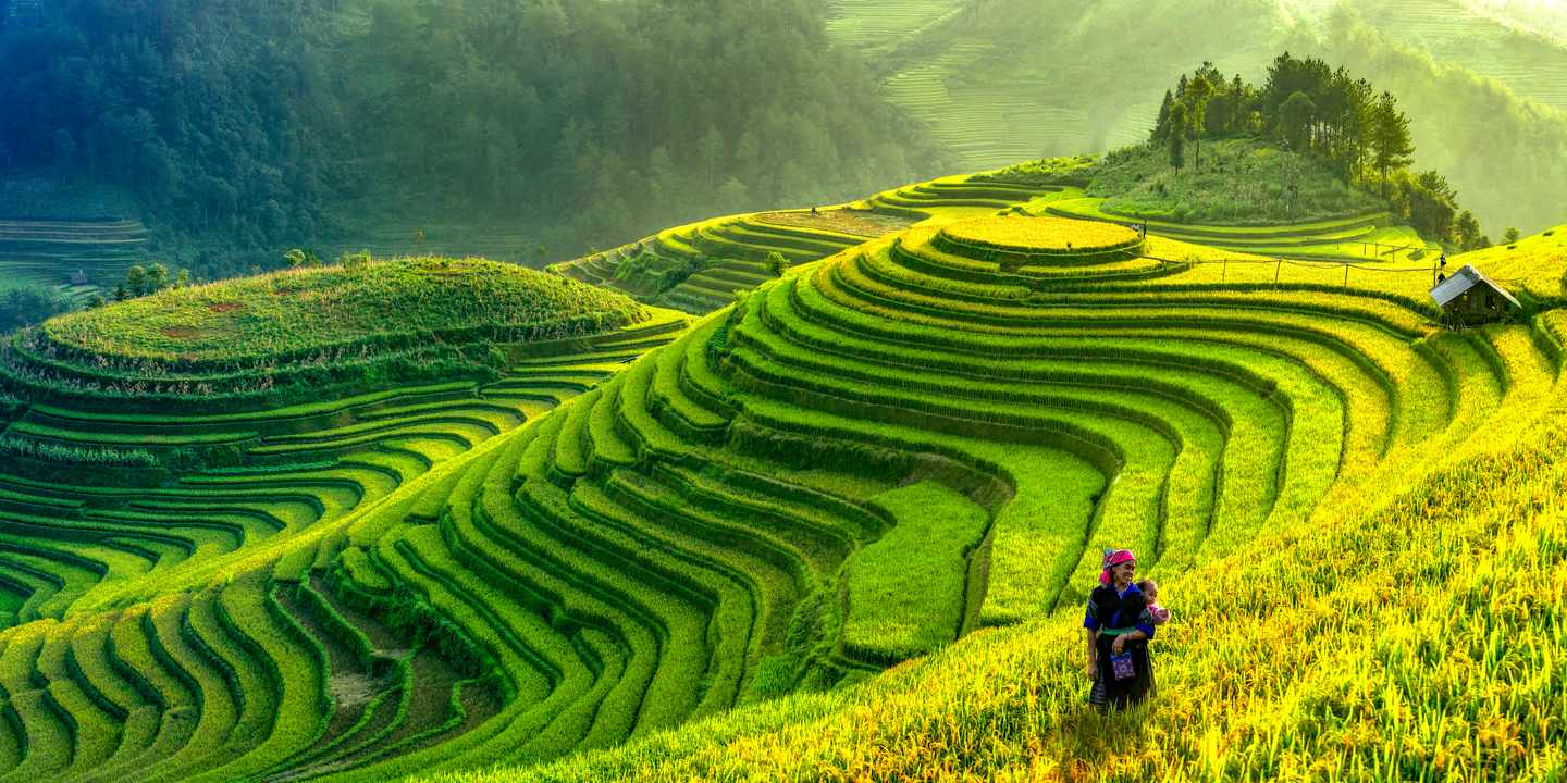 vietnam-mu-cang-chai-reisterrassen-a-308479436.jpg