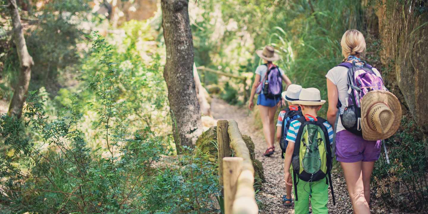 spanien-wald-familie_wandert-g-664250200.jpg