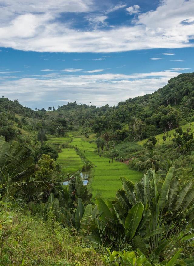 Mitarbeiter-Tipp – Madagaskar erleben
