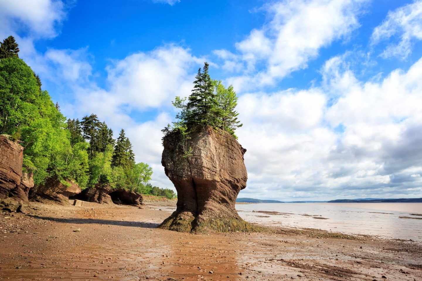 kanada-new-brunswick-hopewell-rocks-g-504684503.jpg