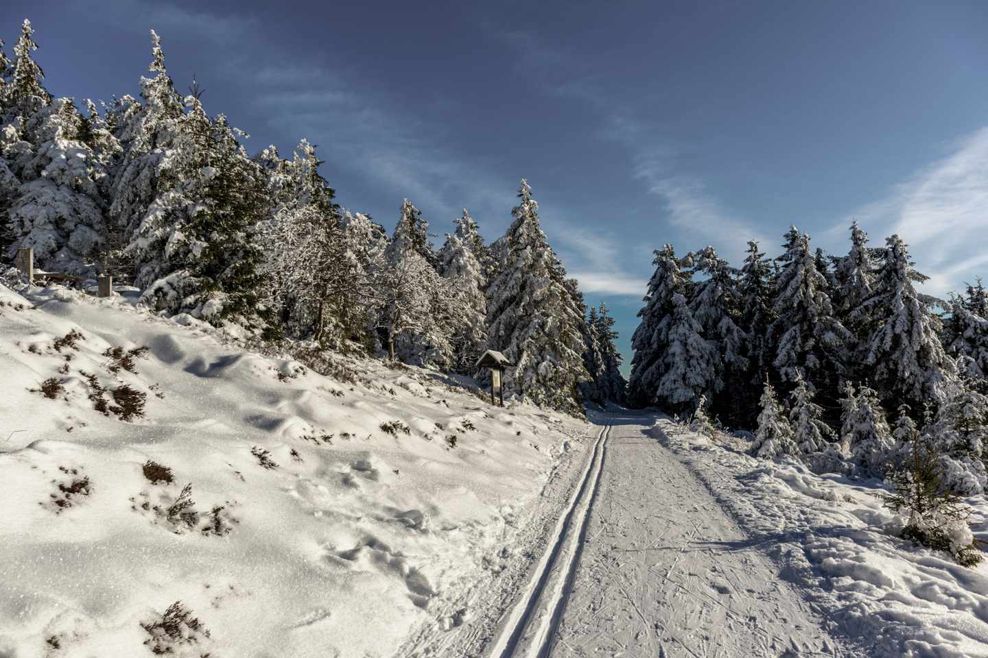 deutschland-thueringen-thueringer-wald-oberhof-winterlandschaft-g-1454517999.jpg
