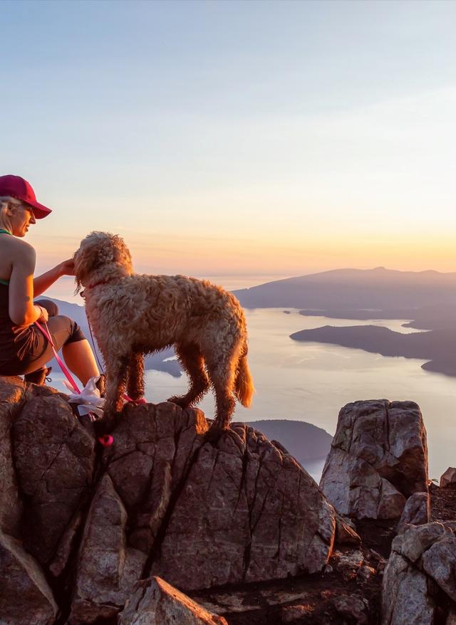 Wandern mit Hund wandern-hund-aussicht-meer-g-1164823007.jpg