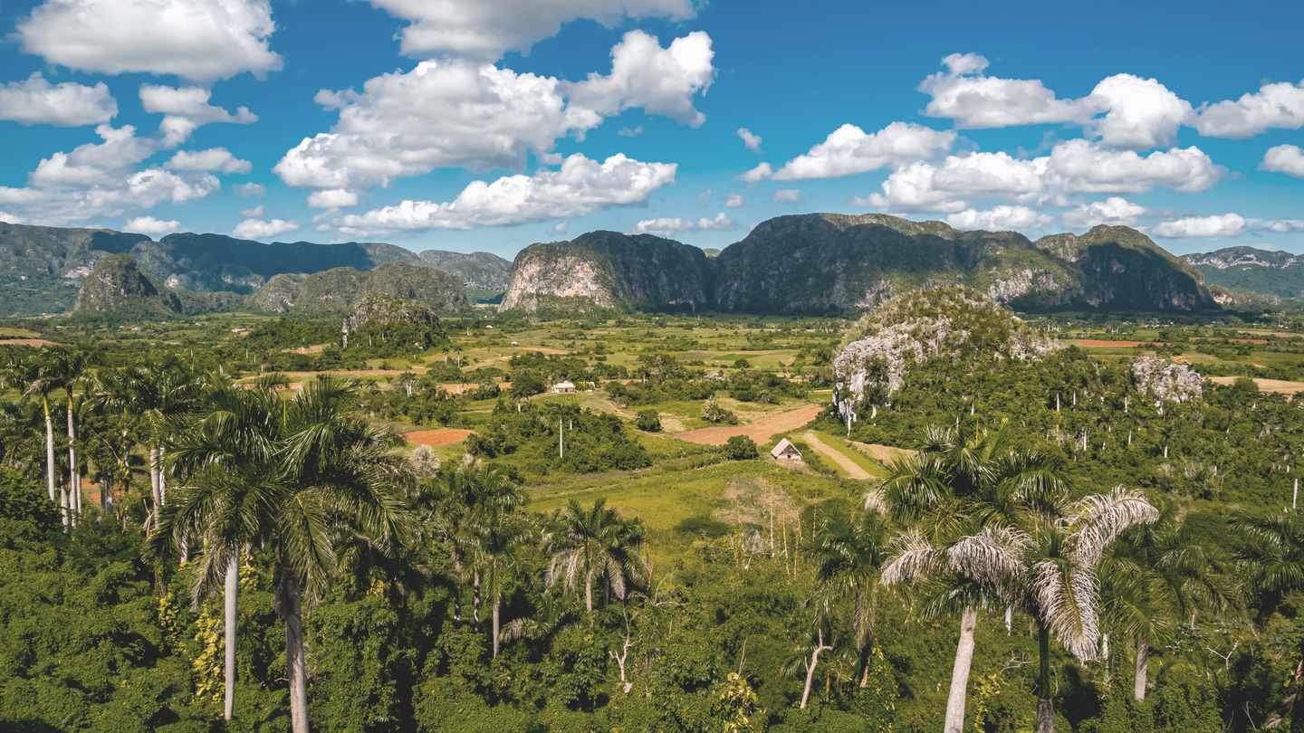 karibik-kuba-valle-de-vinales-tal-mit-palmen-g-1932099555_b.jpg