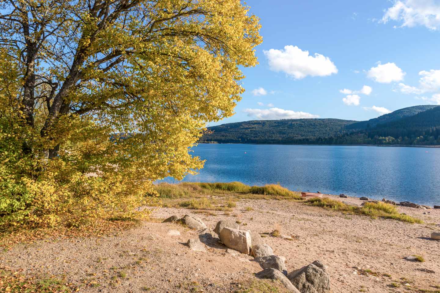 deutschland-schwarzwald-schluchsee-strand-g-537625162.jpg