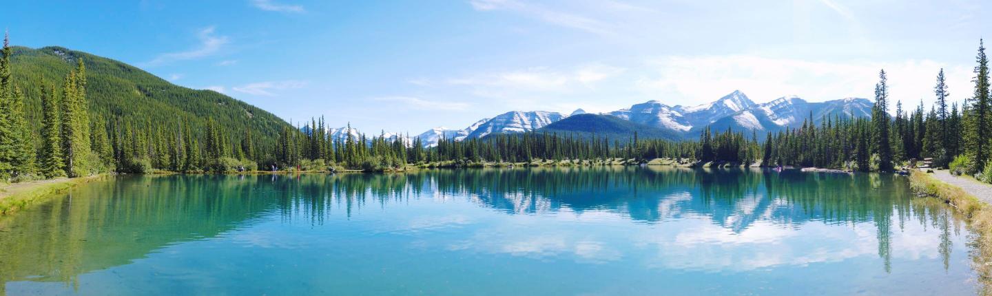 kanada-alberta-vergissmeinnicht-teich-g-487564244.jpg