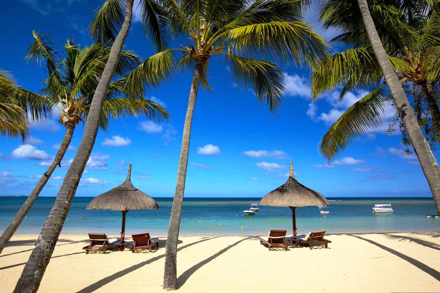 mauritius-belle-mare-strand-palmen-t-452046973.jpg