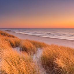 niederlande-texel-g-472079998.jpg