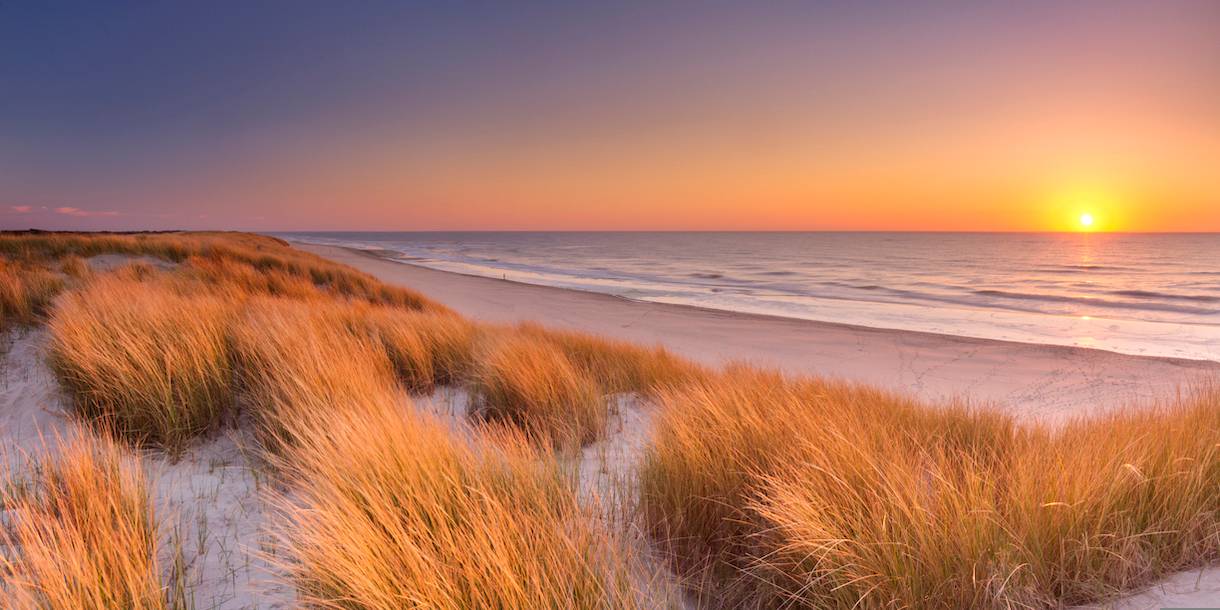 blt2c76eb070f4c1841-niederlande-texel-g-472079998.jpg niederlande-texel-g-472079998.jpg