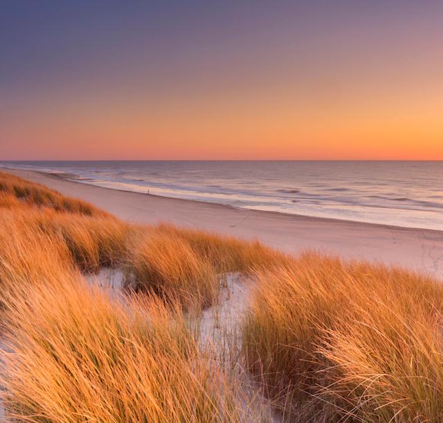 Wellnessurlaub Nordsee niederlande-texel-g-472079998.jpg