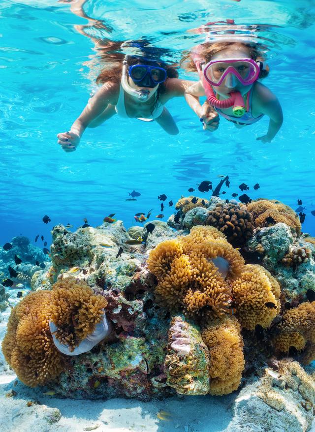 Familienurlaub Malediven malediven-mutter-und-tochter-schnorcheln-im-meer-g-1491234676.jpg