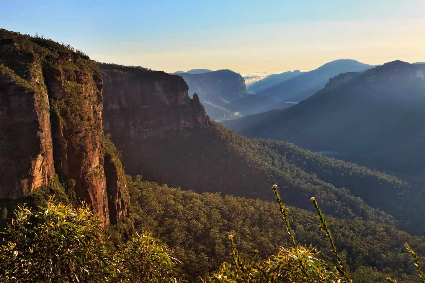 australien-blue-mountains-im-morgenlicht-t-487968124.jpg