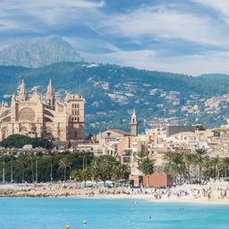 spanien-mallorca-strand-g-1202816342.jpg