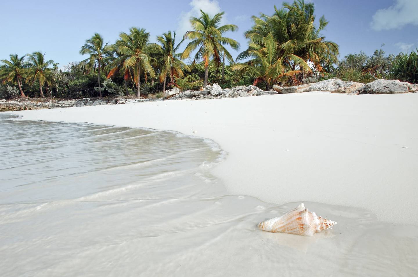 blt572f671bf126b69a-bonaire-strand-mit-muscheln-g-157404493.jpg bonaire-strand-mit-muscheln-g-157404493.jpg