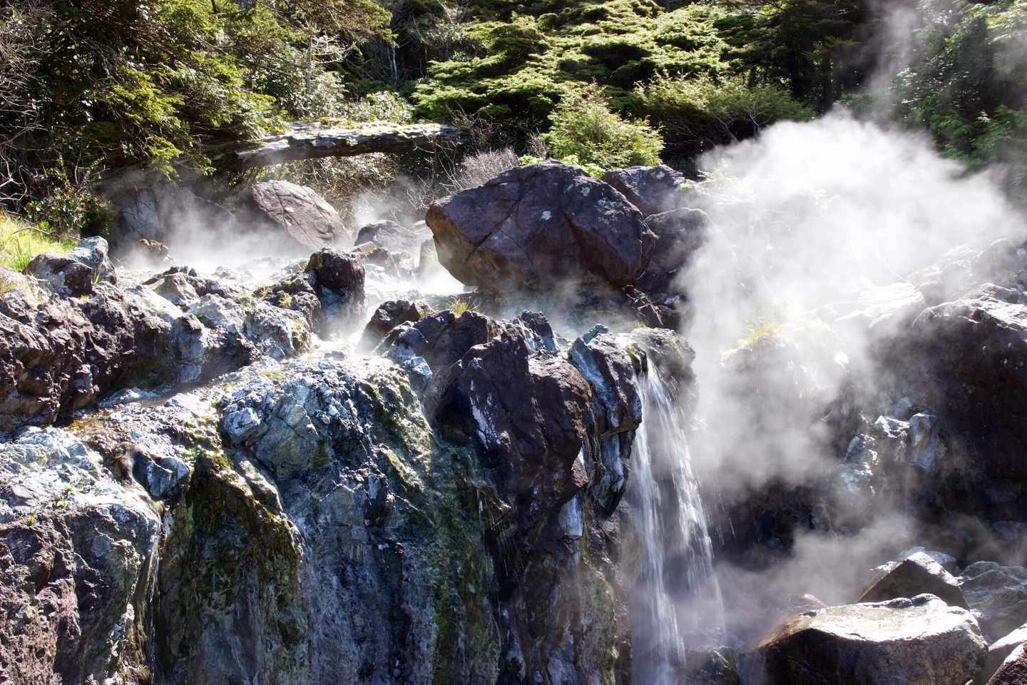 kanada-british-columbia-vacouver-island-hot-springs-cove-tofino-g-479551504.jpg