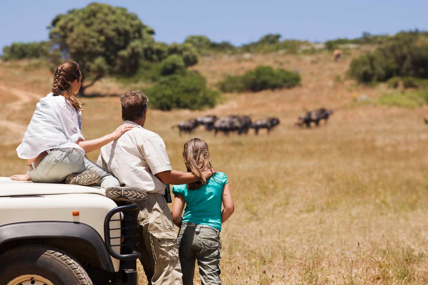 afrika-suedafrika-safari-g-89791523.jpg