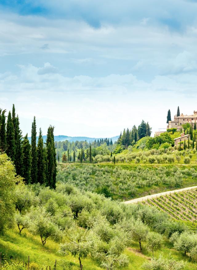 Italien Urlaub italien-g-1244584599.jpg