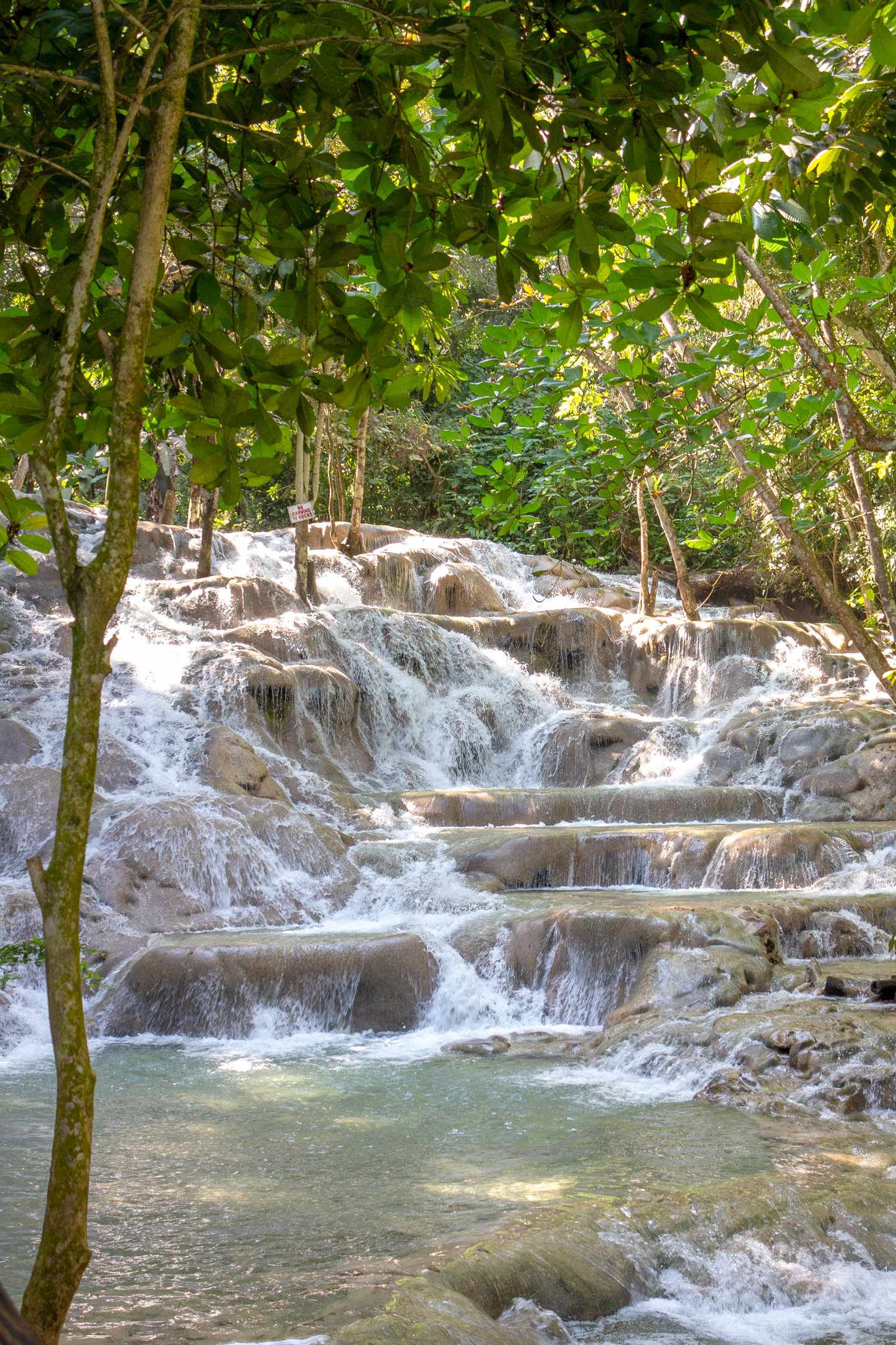 jamaika-dunns-river-g-1129165420.jpg Jamaika Urlaub: Dunns River Falls