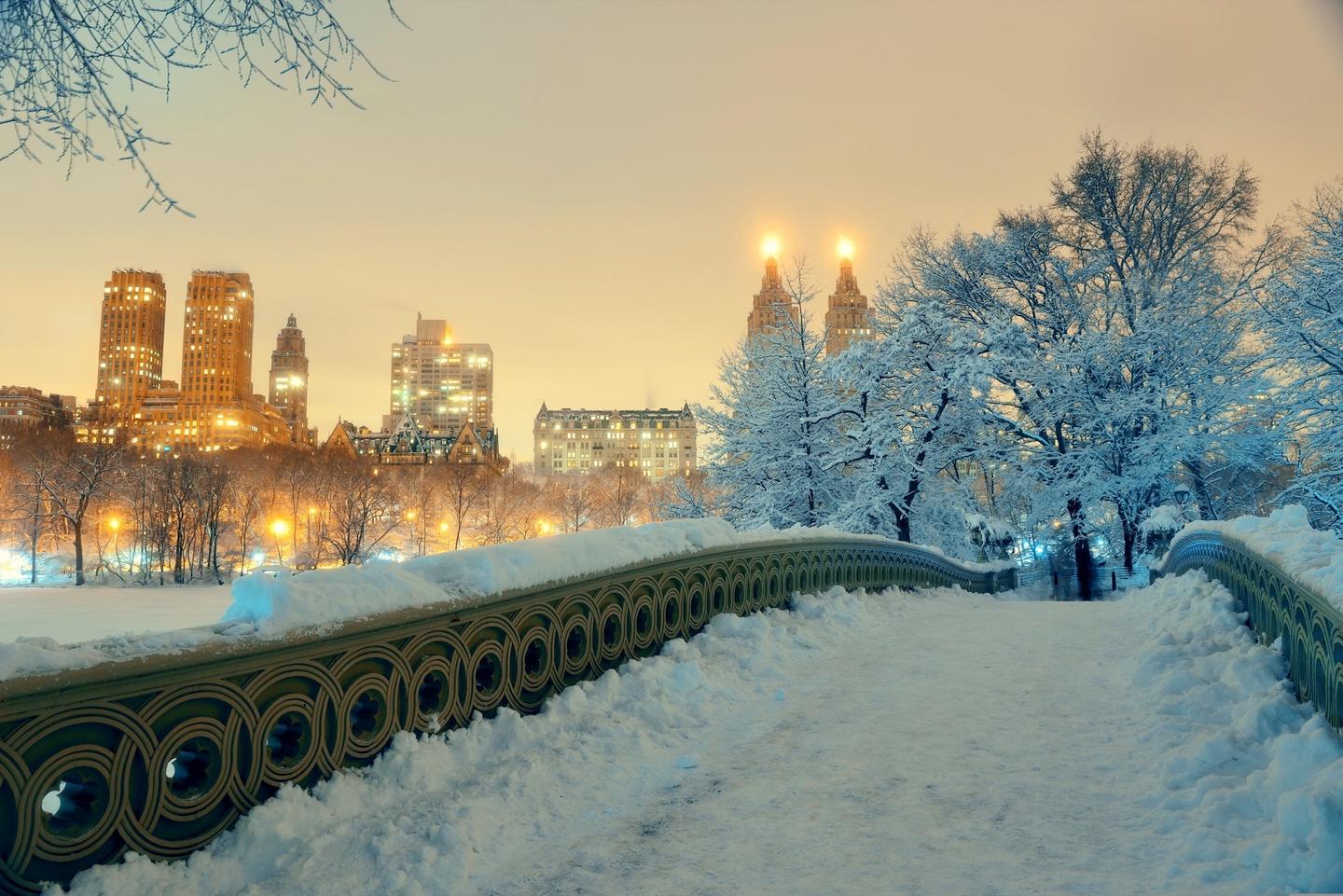 new-york-winter-central-park-g-543477586.jpg