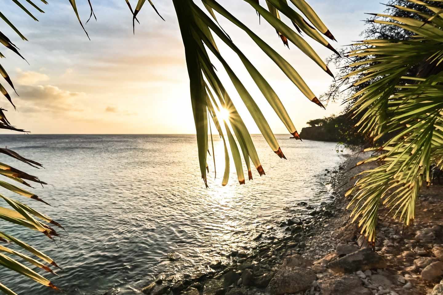 karibik-curacao-urlaub-strand-sonnenuntergang-g1394467131.jpg
